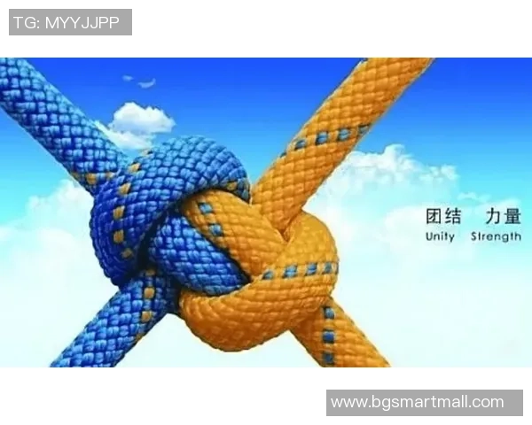 团结奋进上海羽毛球队展现团队协作的力量与精神